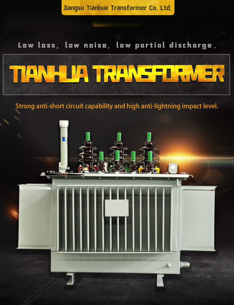 Oil-Immersed Distribution Transformer Manufactured in According with IEC Standard