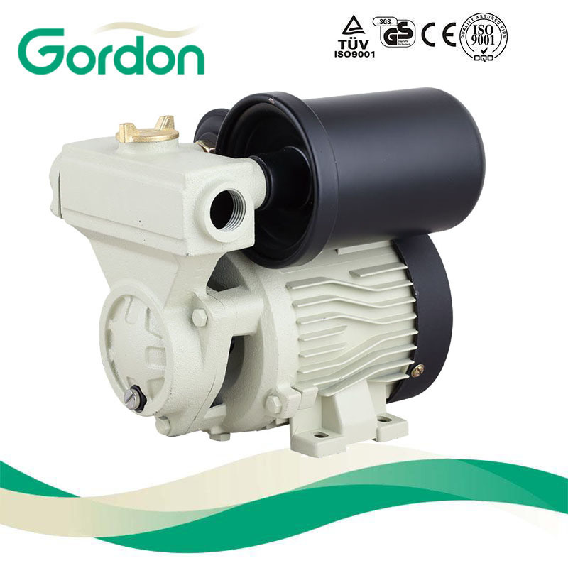 Domestic Suction Water Pump with Pressure Sensor for Booster System