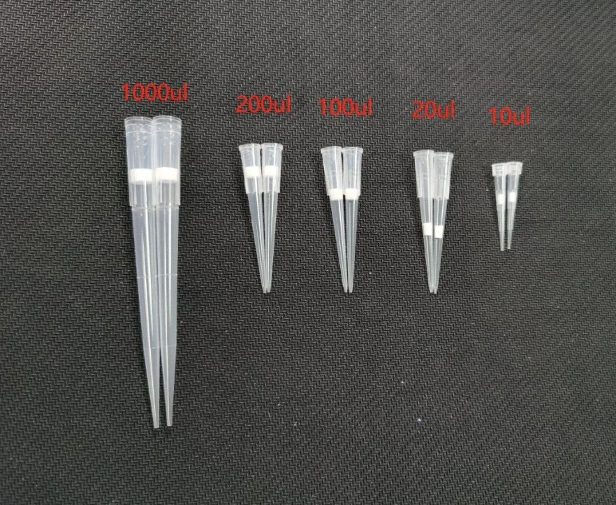 Universal 10 20 100 200 1000UL Sterile Eppendorf Plastic Disposable Micro Pipette Tips with Filter