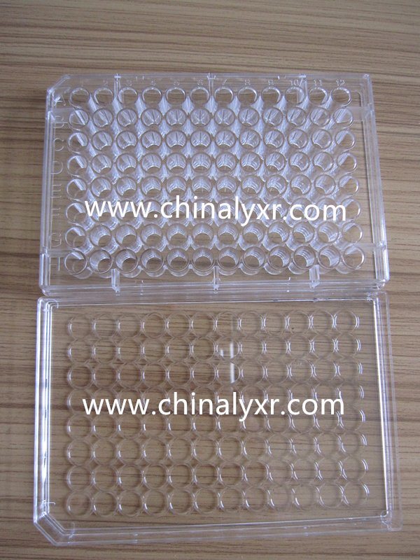 0.2ml PP 96well PCR Plate Half Skirt and No Skirt