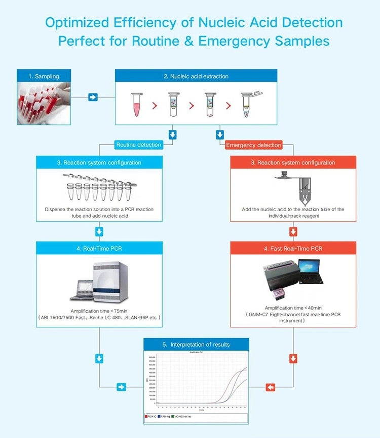 Test Tube Analysis Equipment Epidemic Virus Detection Nucleic Acid Detection Kit Capture Test Tube