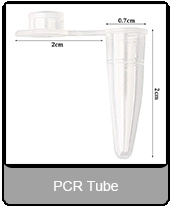 0.1ml 0.2ml 8 4 Well Strips PCR Tube