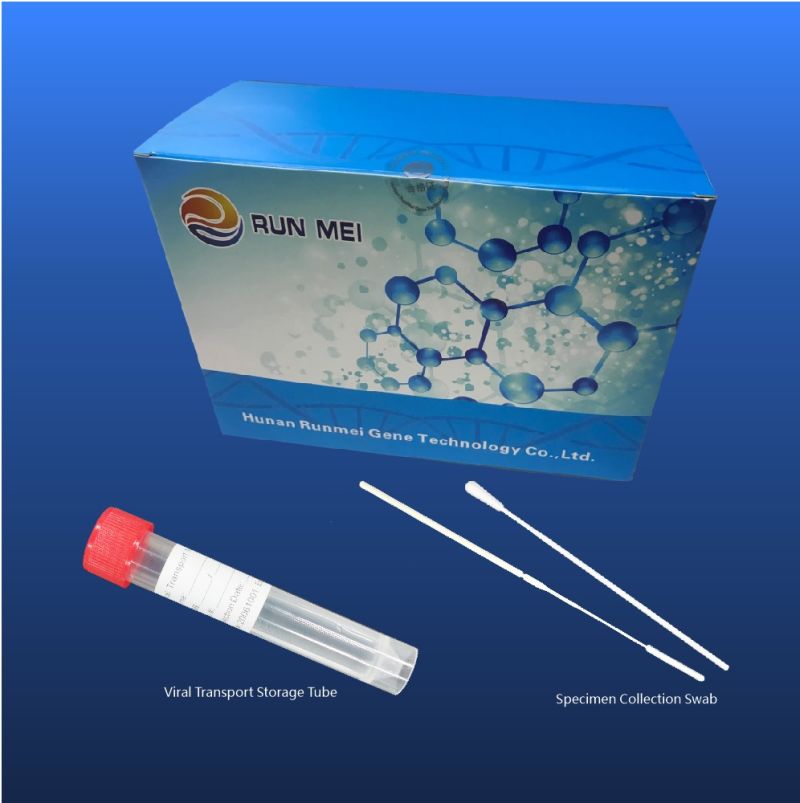Disposable Flocked Sample Virus Transport Medium Throat or Nasal Sampling Swab