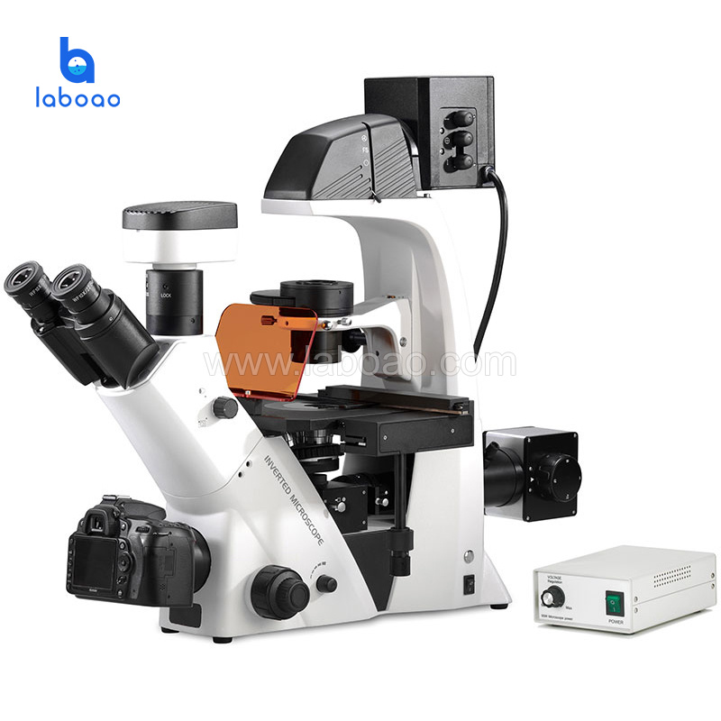 Professional Optical Fluorescence Microscope for Biological Research