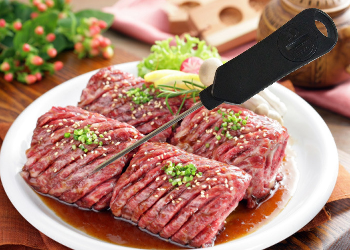 Pen Type Digital Meat Thermometer for Kitchen Cooking