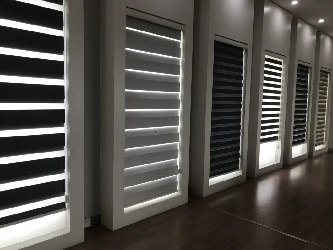 Window Decorative Indoor Daylight Roller Blinds