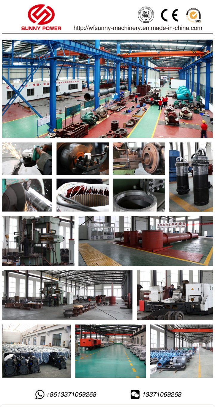 Diesel Water Pumps for Mining/Irrigation with Trailer/Weather Canopy