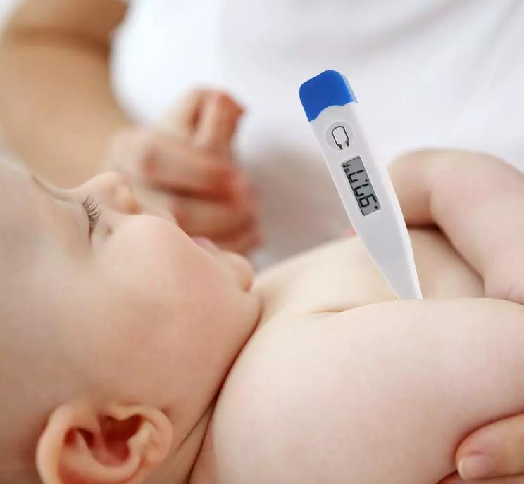 Baby Cartoon Flexible Probe Tip Digital Thermometer