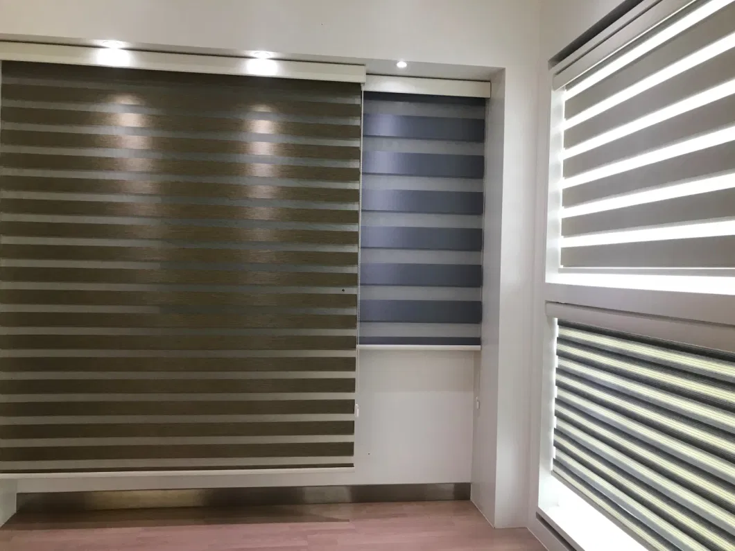Window Decorative Indoor Daylight Roller Blinds