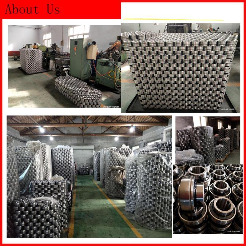 6000 6200 6300 Series China Bearing Supplier, Deep Groove Ball Bearing Supplier, Pillow Block Bearing Supplier