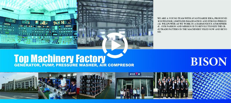 Bison (China) BS2500t (E) 2kw 2kVA AC Single Phase OEM Factory China Supplier Petrol Generator