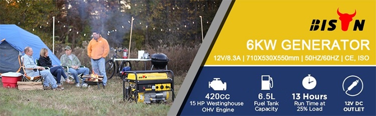 Bison China Chinese Manufacturing 7kw Home Use Gasoline Generator