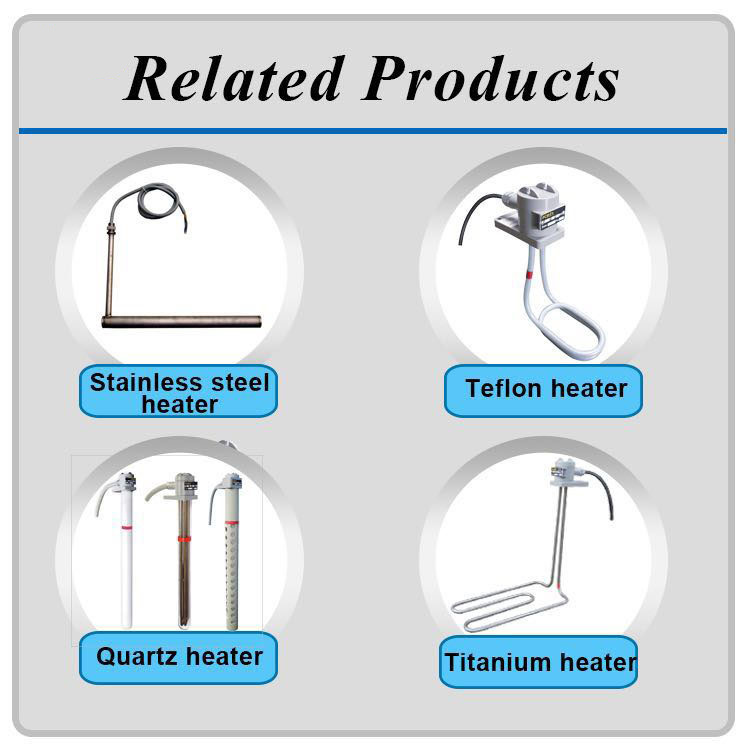 OEM Portable PTFE Coil Shape Water Immersion Heaters for Electroplating