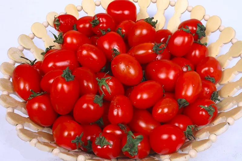 Wholesale Fresh Organic Red Tomatoes or Fresh Green Tomatoes