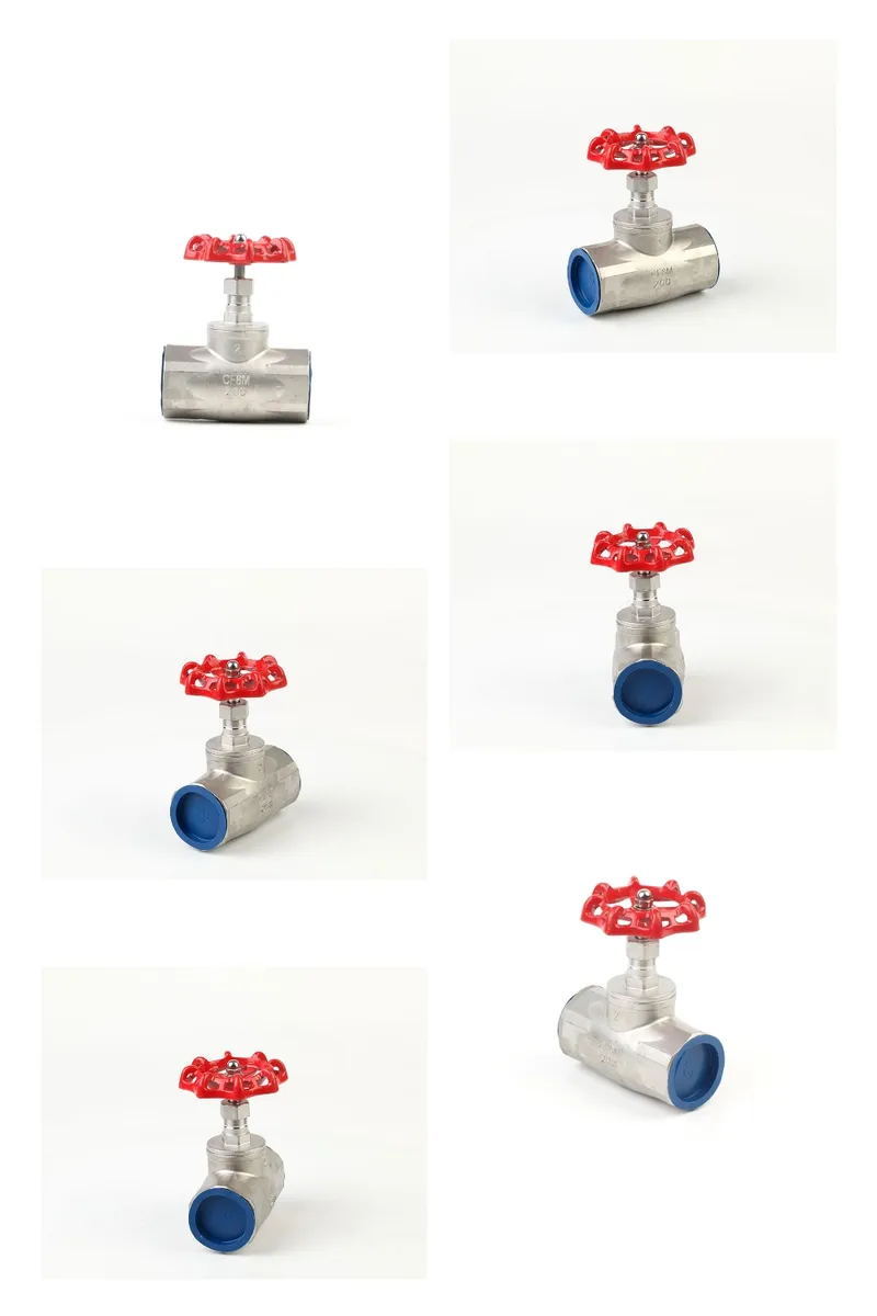 Stainless Steel Globe Valve CF8m Thread Type 200wog