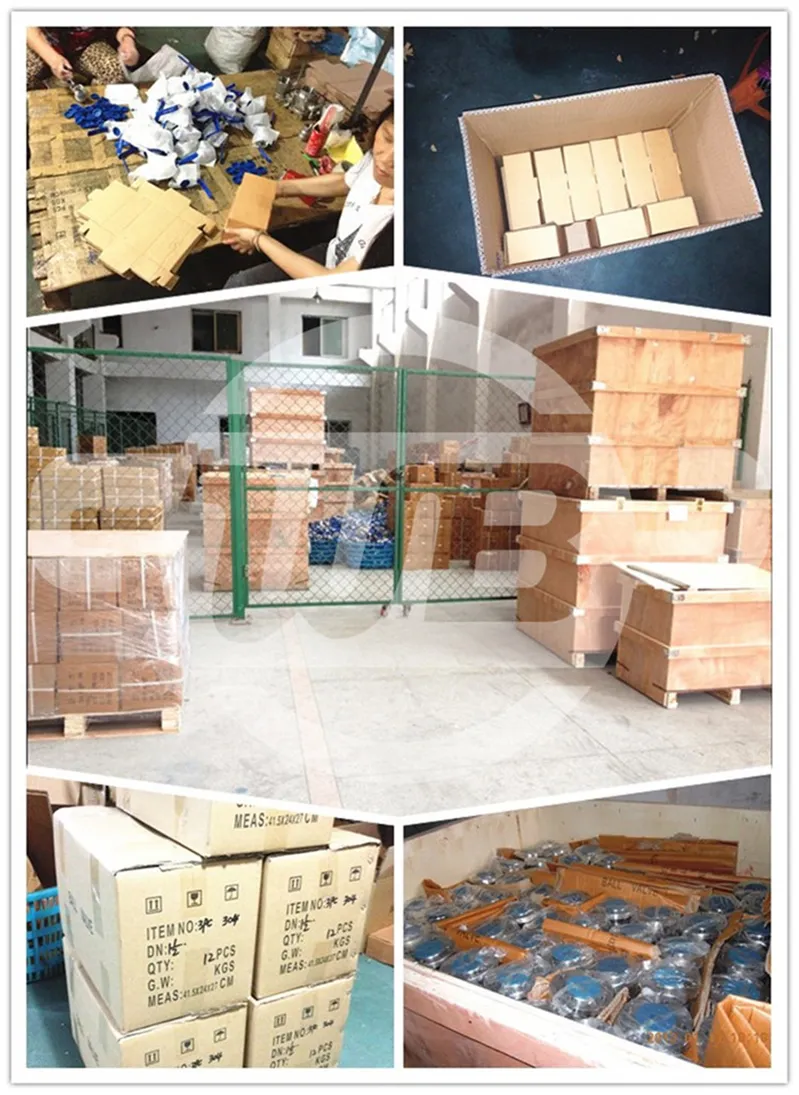 Male Threaded Manual Type SUS Sanitary Butterfly Valve