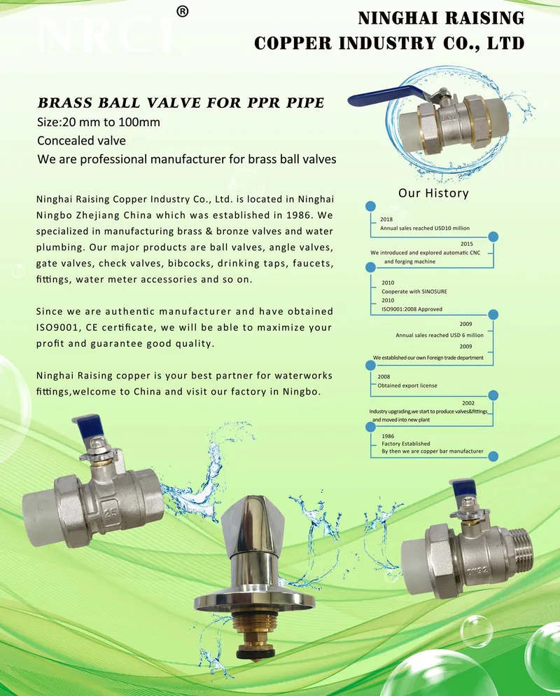 Brass Straight Lockable Ball Valve for Water Meter