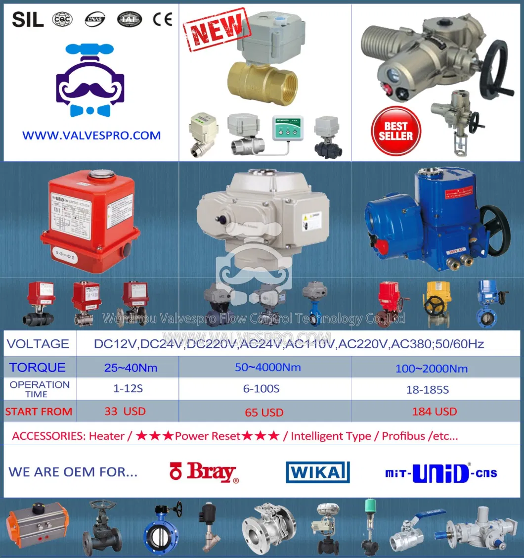 H71W CF8 DN50 Pn25 Lifting Check Valve Non Return Valve Stainless Steel Check Valve