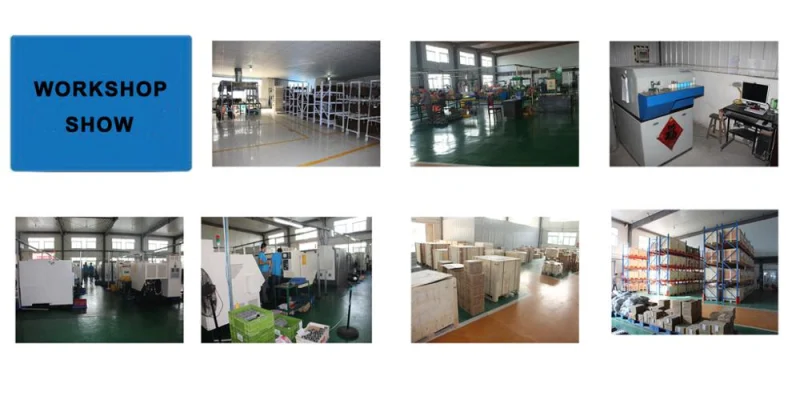 Stainless Steel Gate Valve/Check Valve/Butterfly Valve/Globe Valve/Needle Valve/Ball Valve