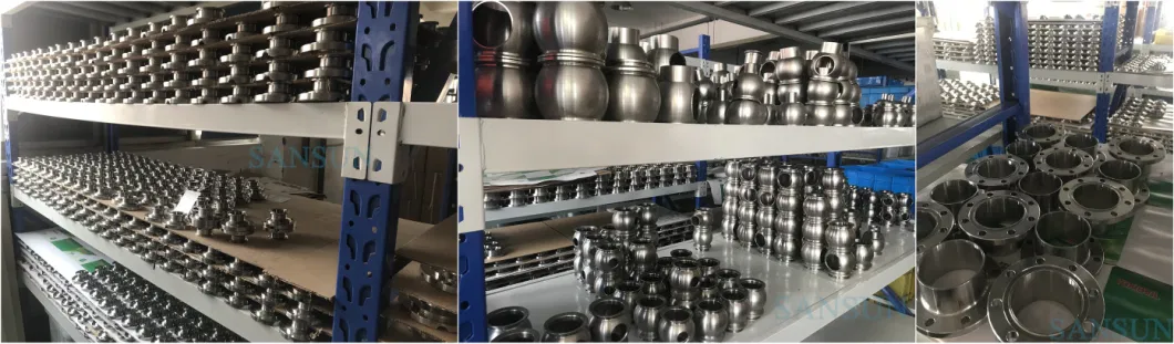 Sanitary Stainless Steel Manual Valve/Check Valve/Non-Return Check Valve/Spring Check Valve