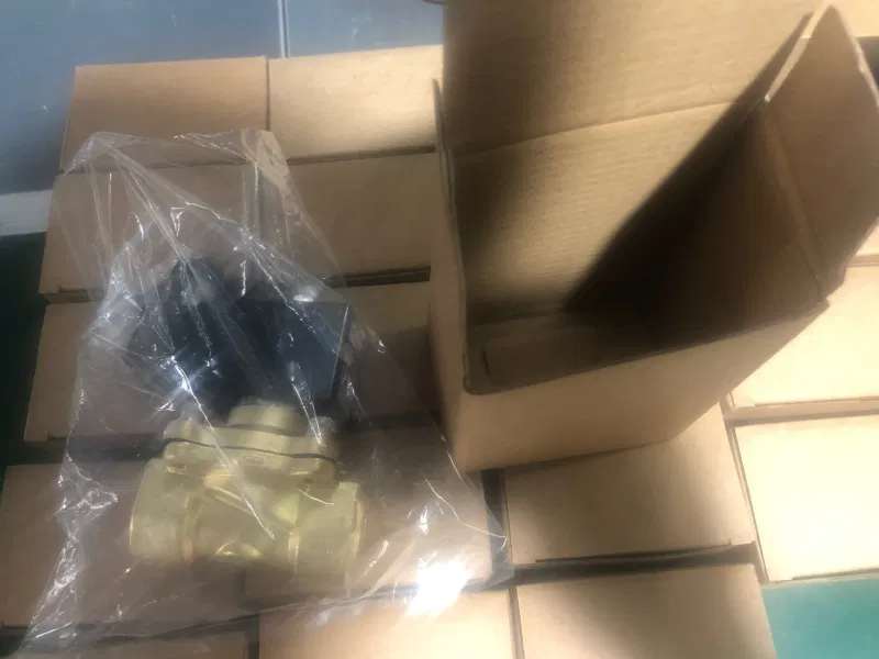 2W025-06 2W Brass Solenoid Valve