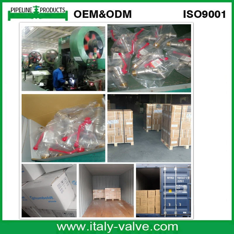 Hot Sale OEM Male and Male 1/4'' Brass Needle Valve