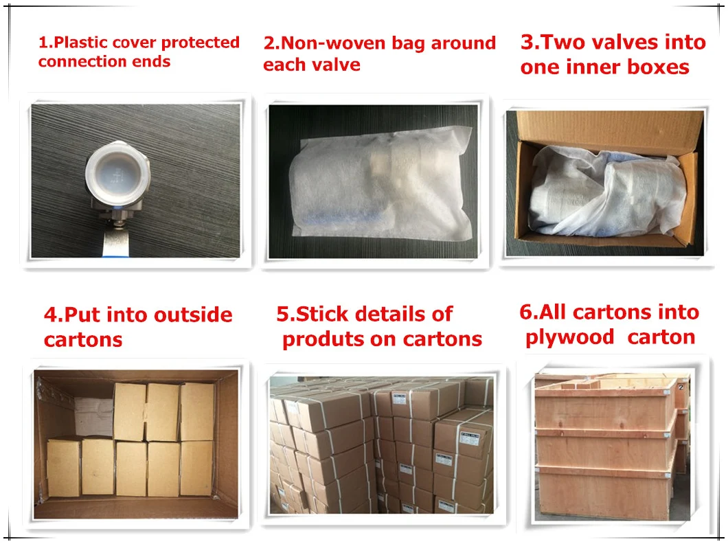 NPT Thread H12W Spring Check Valve