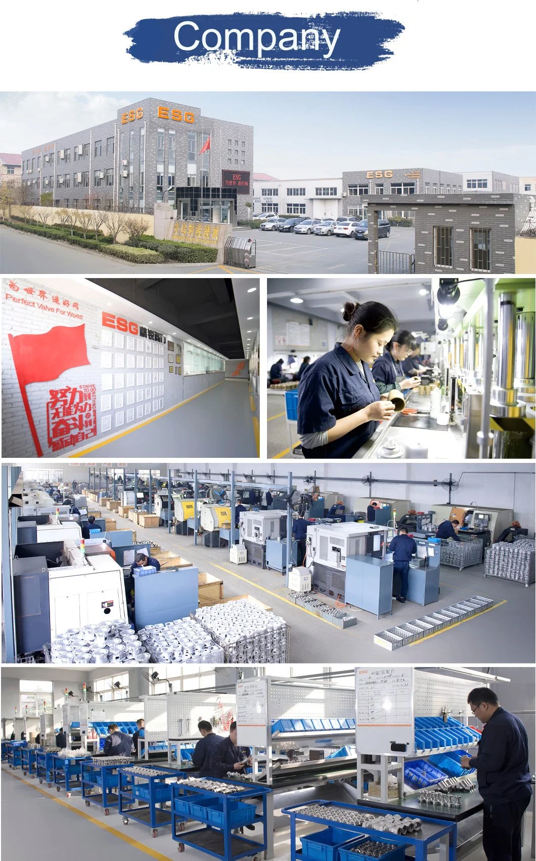Pn16 Steam Valve BSPP Thread Stainless Steel Actuator Pneumatic Angle Seat Regulating Valve