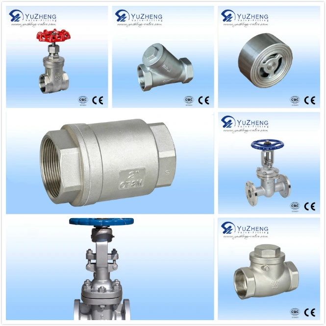 Industrial Threaded NPT Check Valve