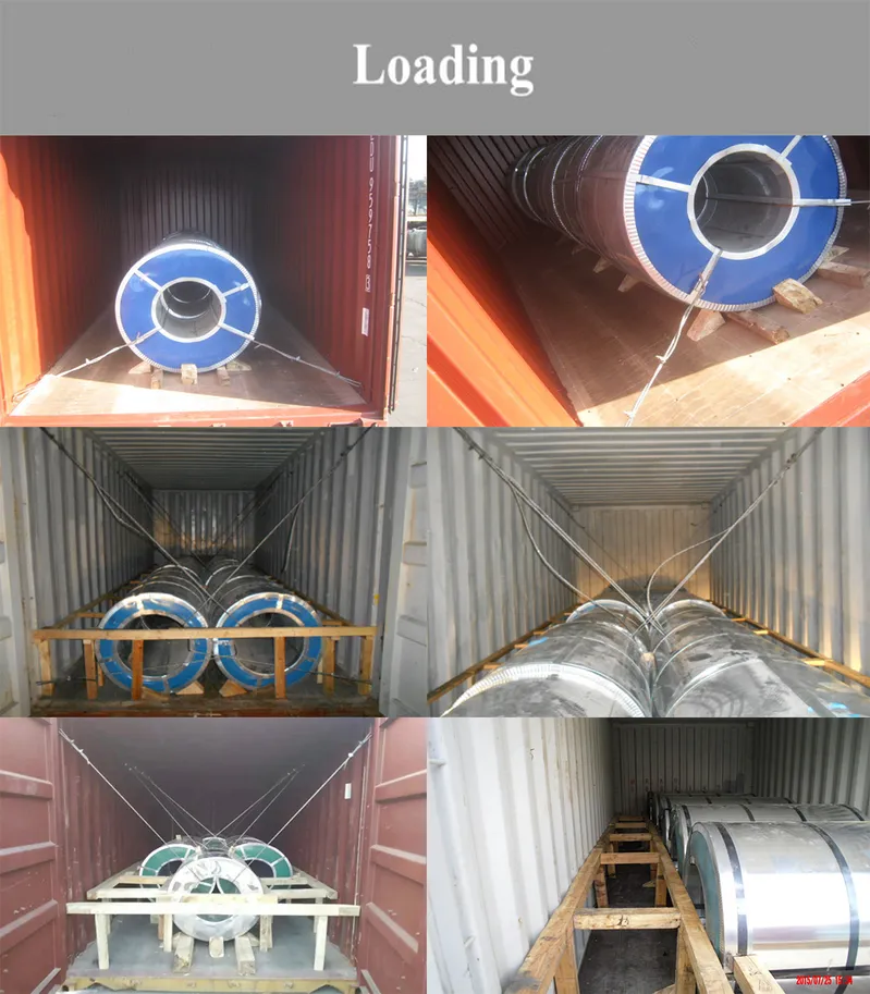 Ss400 Hot Rolled Hr Steel Coil Pickled and Oiled