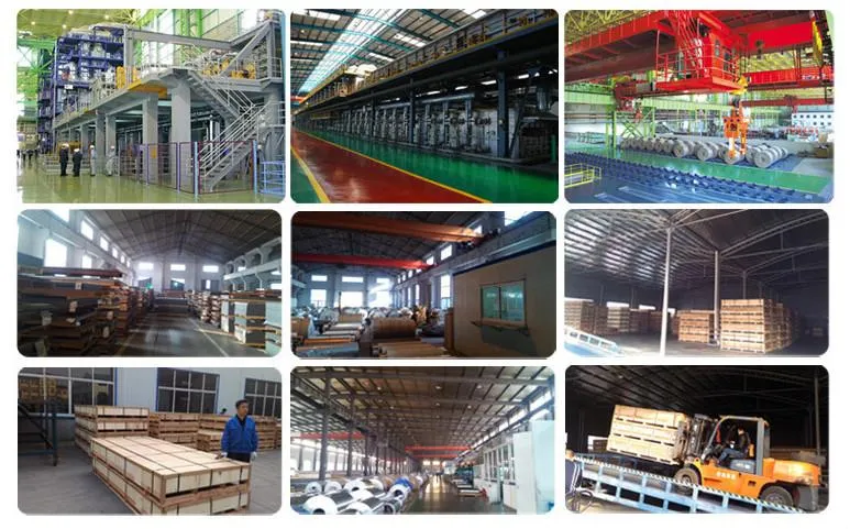 China Factory Suppliers Color Coated Prepainted Steel Coil /PPGI PPGL