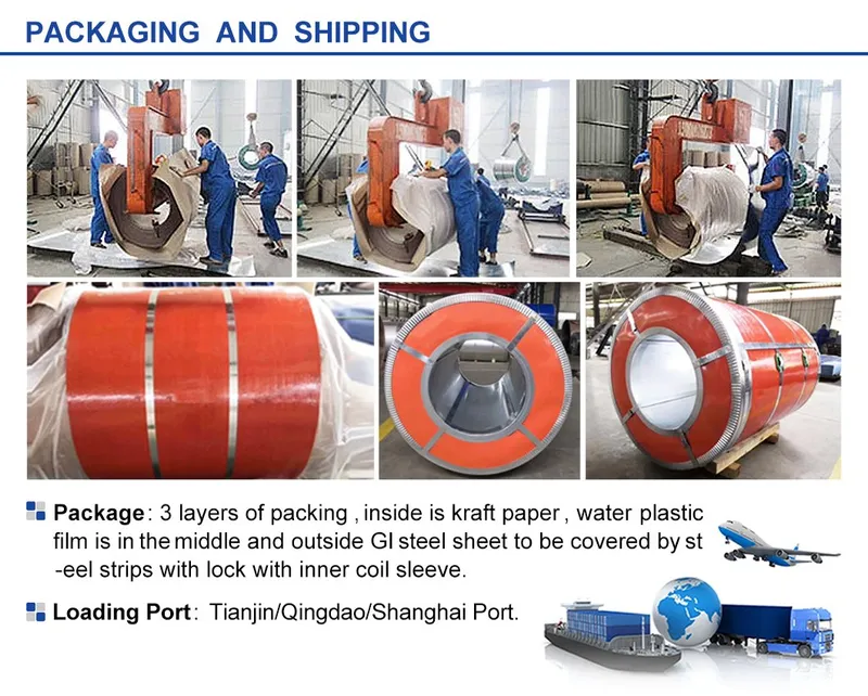 Prepainted Gi Steel PPGI Galvanized Steel Coil Supplier