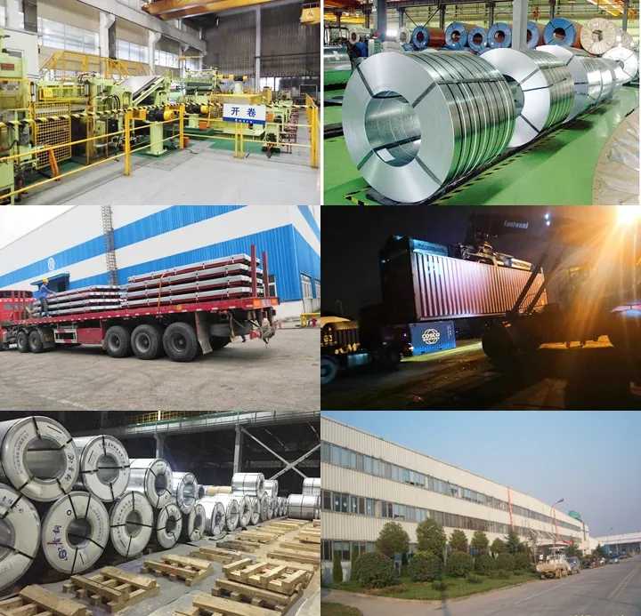 China PPGI/PPGL Coil Rolled Steel Sheet Metal Sheet