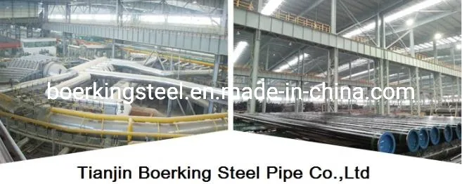 PPGL/PPGI Prepainted Galvanized Coil China Supplier Steel Coil Galvanized Steel Strip