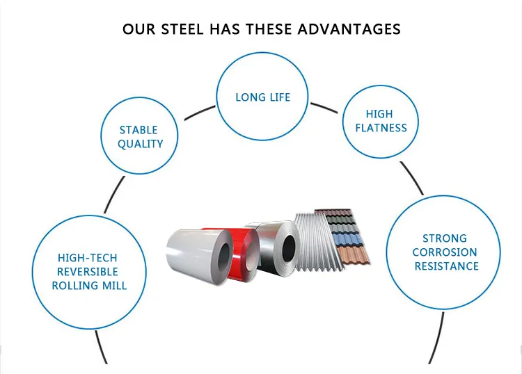 Zero Spangle Galvanized Steel Coil Z275 Zinc Coating Galvanised Coil