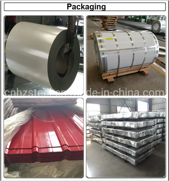 Prepainted Galvanized Steel in Coils Color Coil Coated Steel