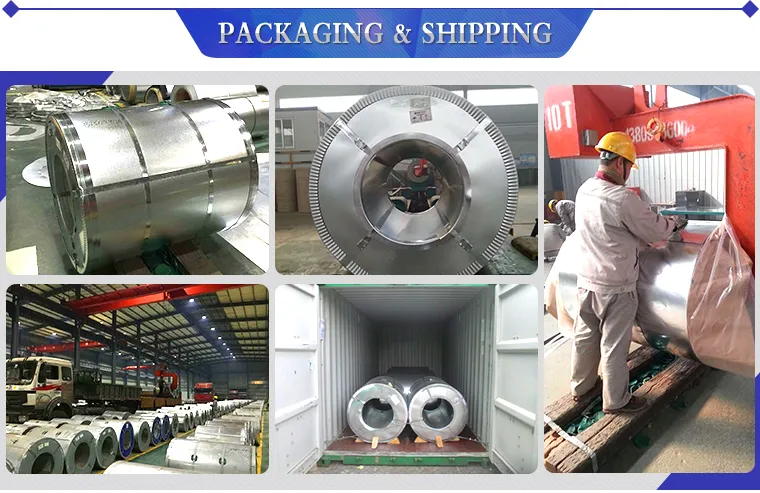 China Gi Sheet Galvanized Steel Coil Strip