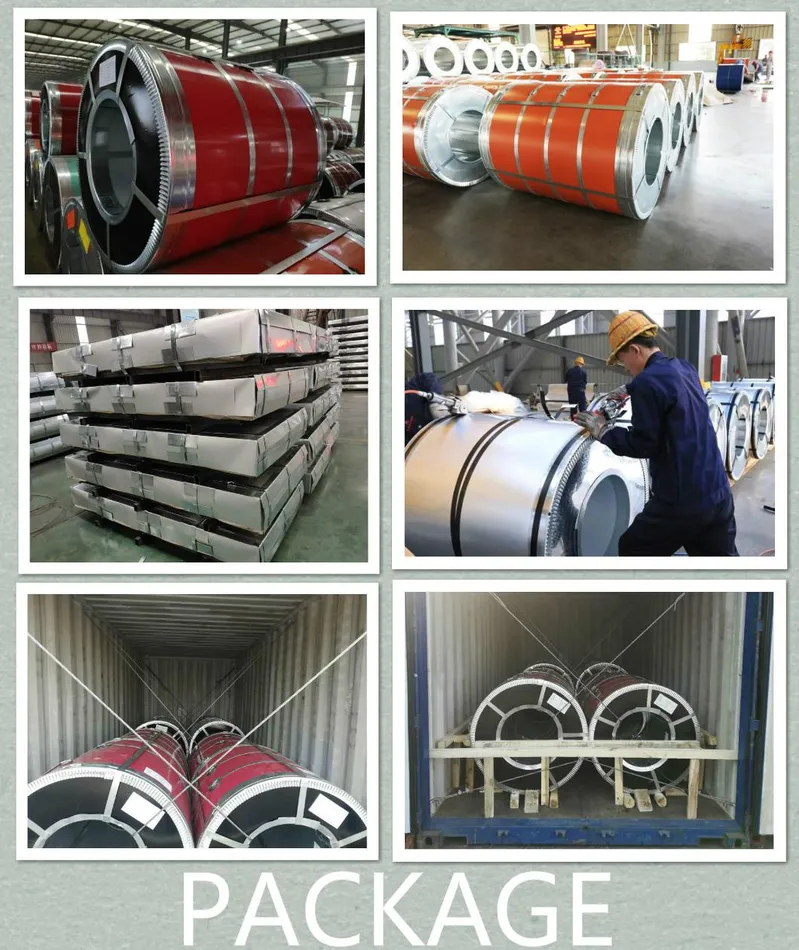 PPGI G60 Galvanized Steel Coil Color Coated Gi Sheet