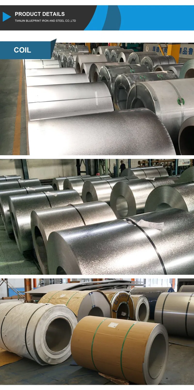 Best Price Color Coated Galvanized Steel Coil PPGI Coil