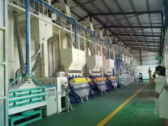 Combined Rice Mill Machine 1000kg Per Hour 1ton Per Hour