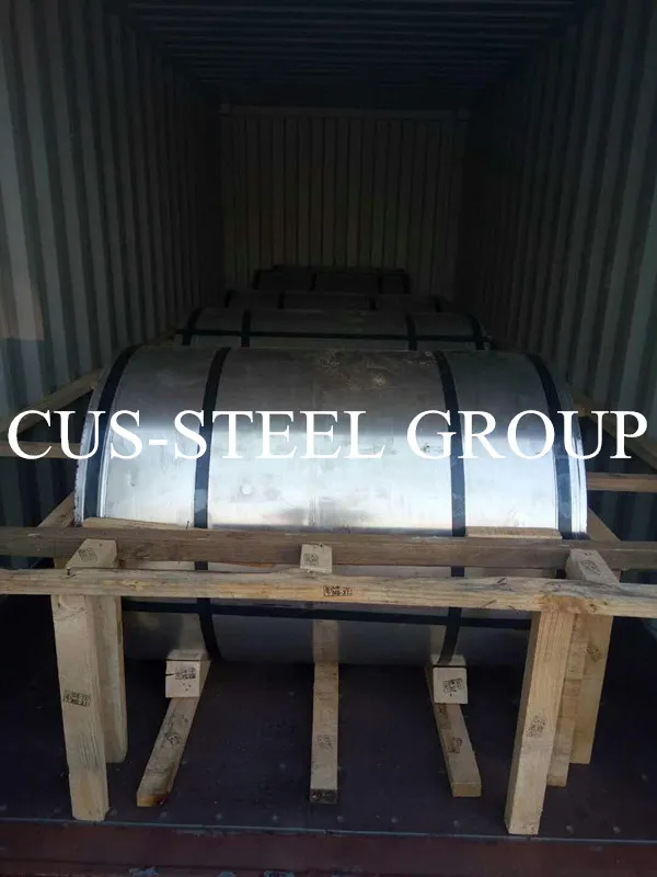 High Quality Pre-Painted Zinc Coated Steel/Iron Coil From China