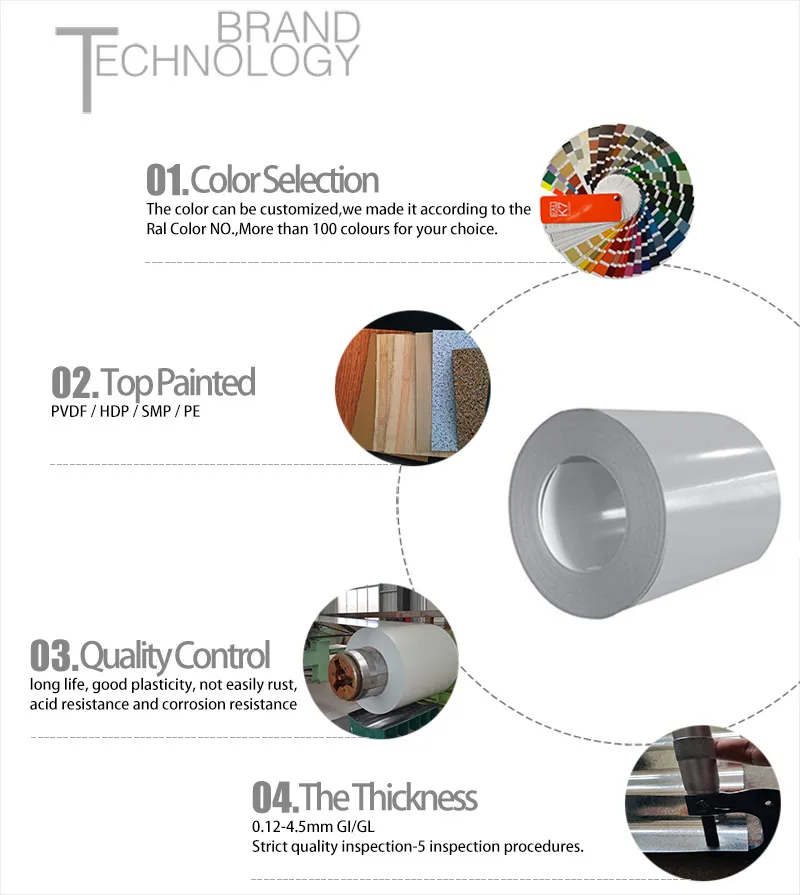 Color Coated Steel Coil PPGI or PPGL Color Coated Galvanized Steel
