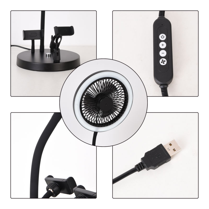Webcast Lighting Kit, Live Streaming Selfie Desktop Ring Light, USB Lamp with Fan