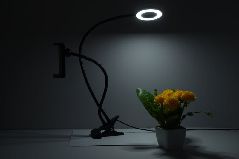 Selfie Ring Light with Cell Phone Holder Stand for Live Stream/Makeup, Mini LED Camera Lighting