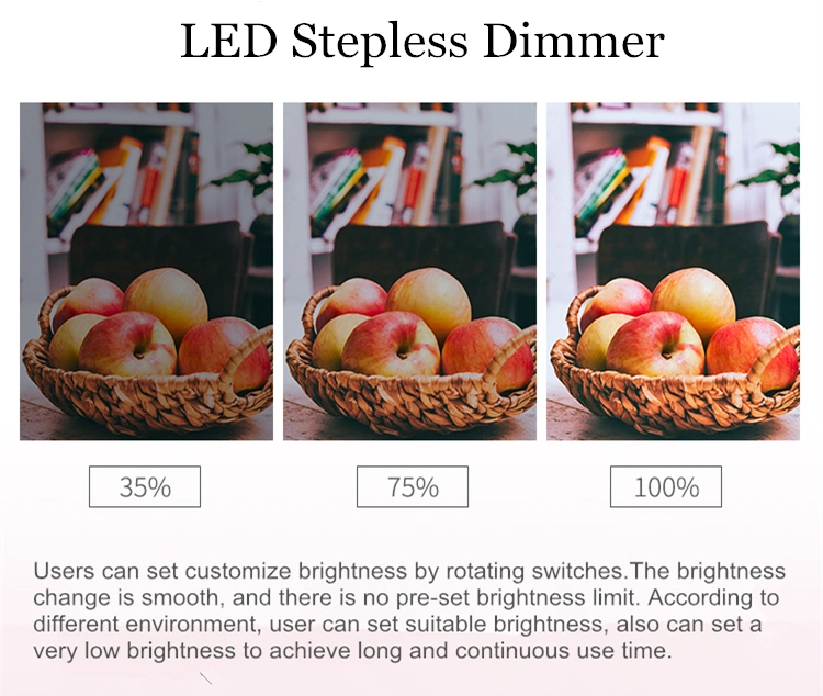 High Definition Two Color Fill Light Ring Lamp 12 Inch Video Shooting LED Light Factory for Sale