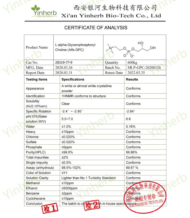 High Quality Alpha GPC Alpha-Glycerophosphoryl Choline Raw Powder