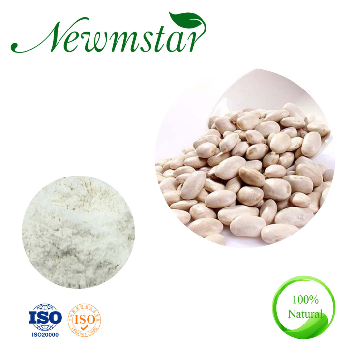 Natural Phaseolin White Kidney Bean Extract Good for Kidney