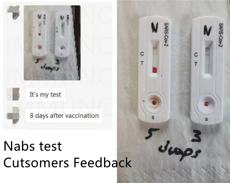 Neutralizing Antibodies Rapid Test Diagnostic Test Stars 2 Antibody
