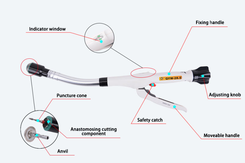 New Product Double Row Nails Disposable Tubular Stapler for Gastrointestinal Surgery
