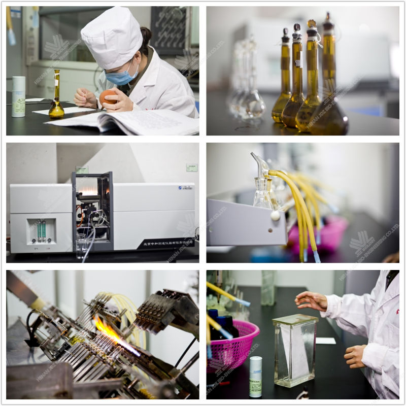 Dry Powder to Enhance The Immunity Saccharomyces Cerevisiae Nutritional Yeast